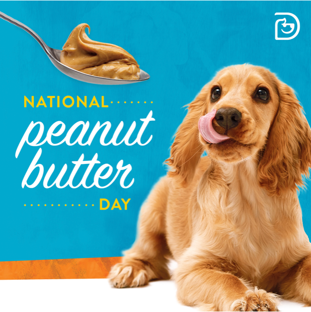 Peanut Butter Kong North Austin