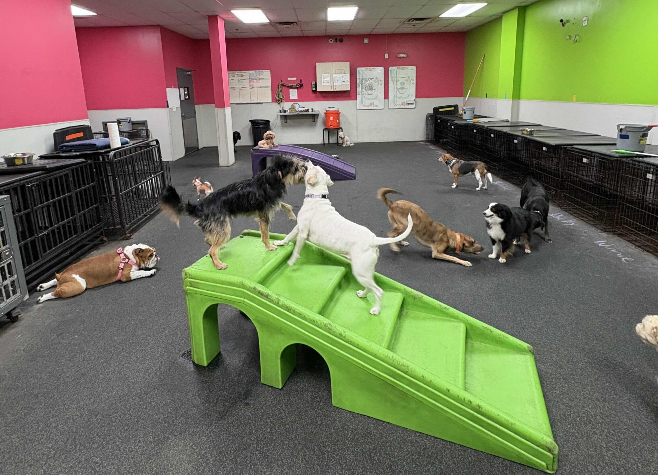 North Austin Playroom