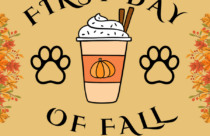 the Fall Craft at Dogtopia