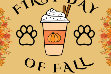 the Fall Craft at Dogtopia