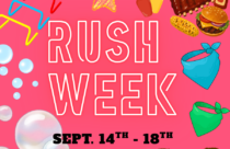 Rush Week at Dogtopia