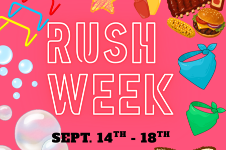 Rush Week at Dogtopia