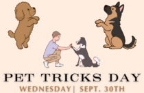 Show us your best tricks for a treat!