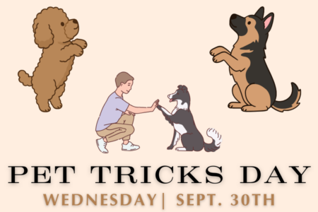 Show us your best tricks for a treat!