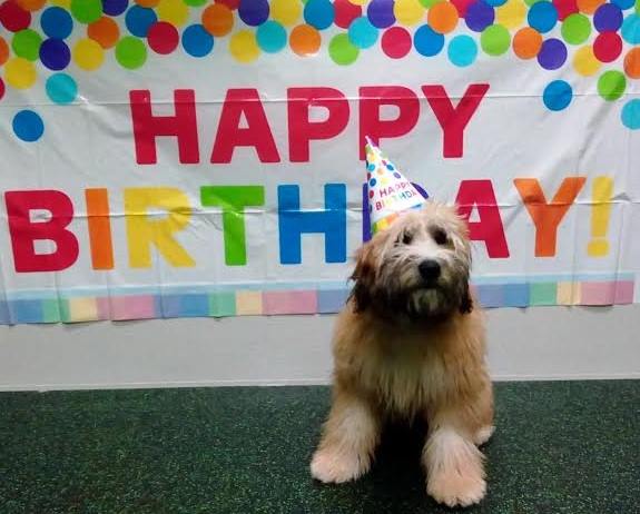 Birthday Party