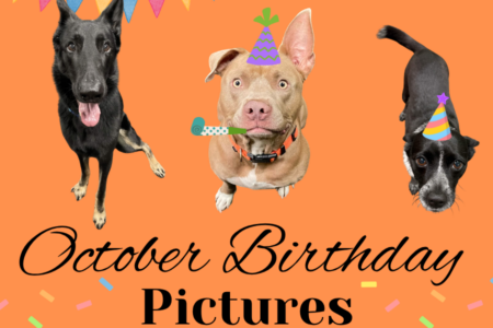 October birthday pictures