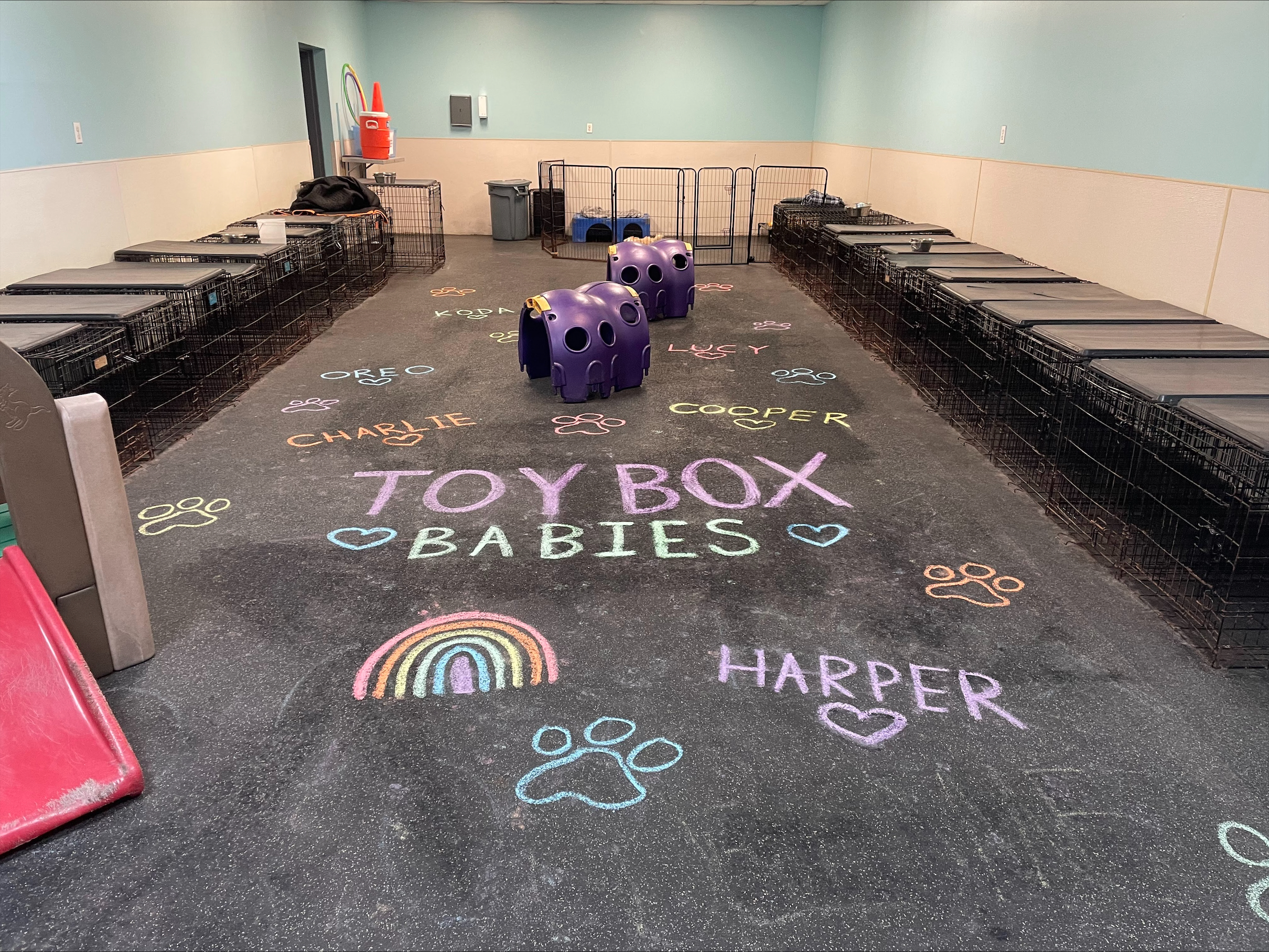 Wilmington Toy Box