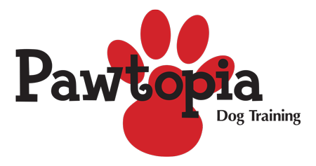 advanced canine good citizen