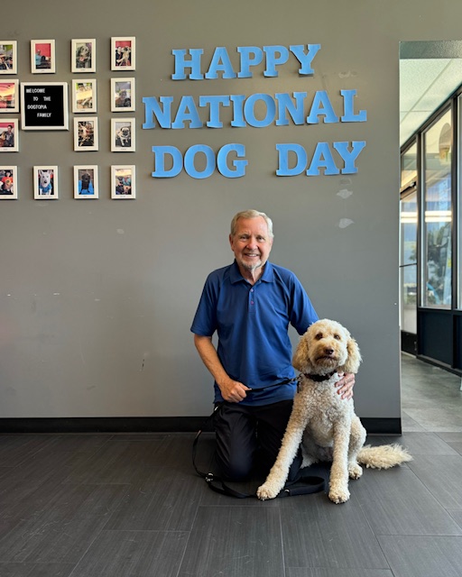 Miramar Dog Day Wall