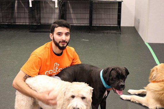 Dominick with two dogs in the playroom at Dogtopia Meadowvale in Mississauga!