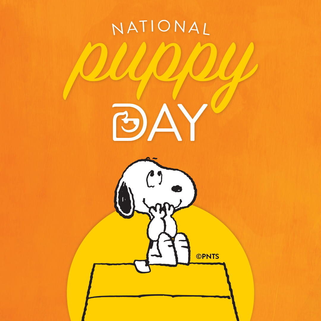 National Puppy Day! - Meadowvale