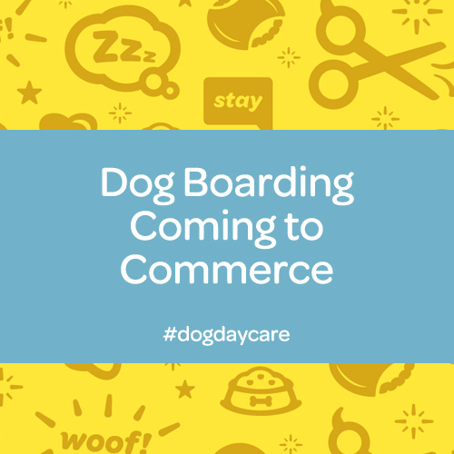 dog boarding commerce mi