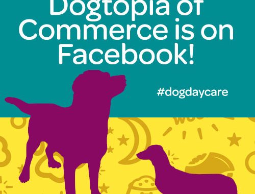 dogtopia of commerce facebook