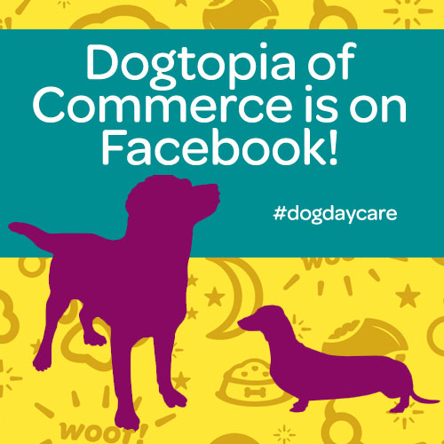dogtopia of commerce facebook