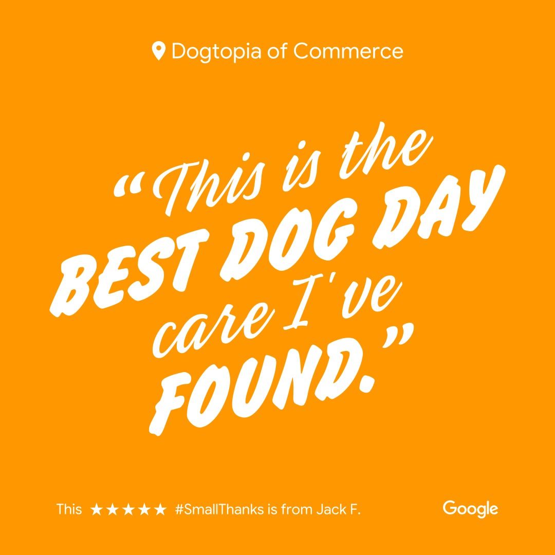 love-from-our-dog-day-care-clients-commerce