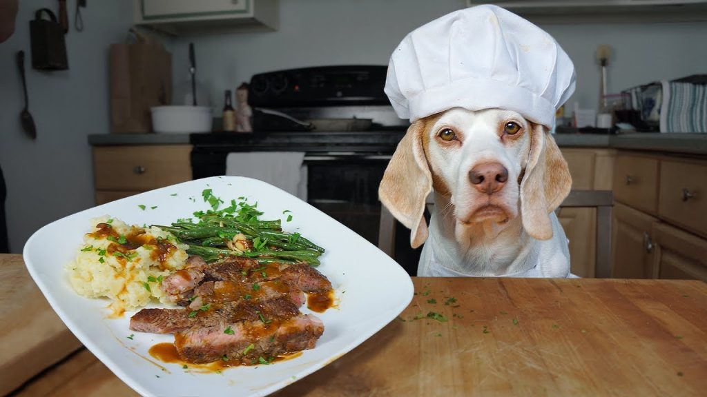 National Cook for your Pet Day! Commerce