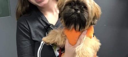 doggy day care for dogs that don't like to walk in the rain