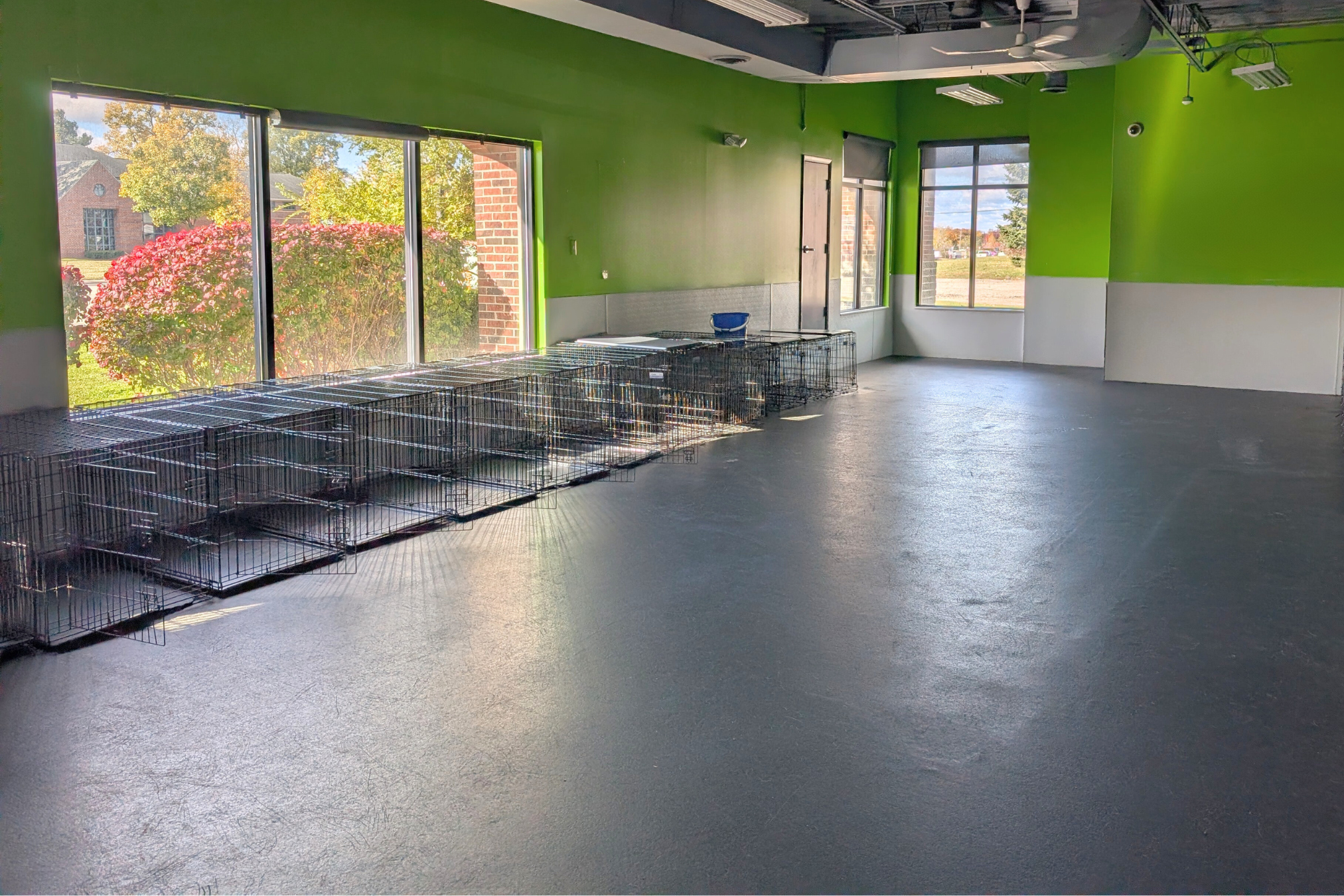 Bloomfield Play Room