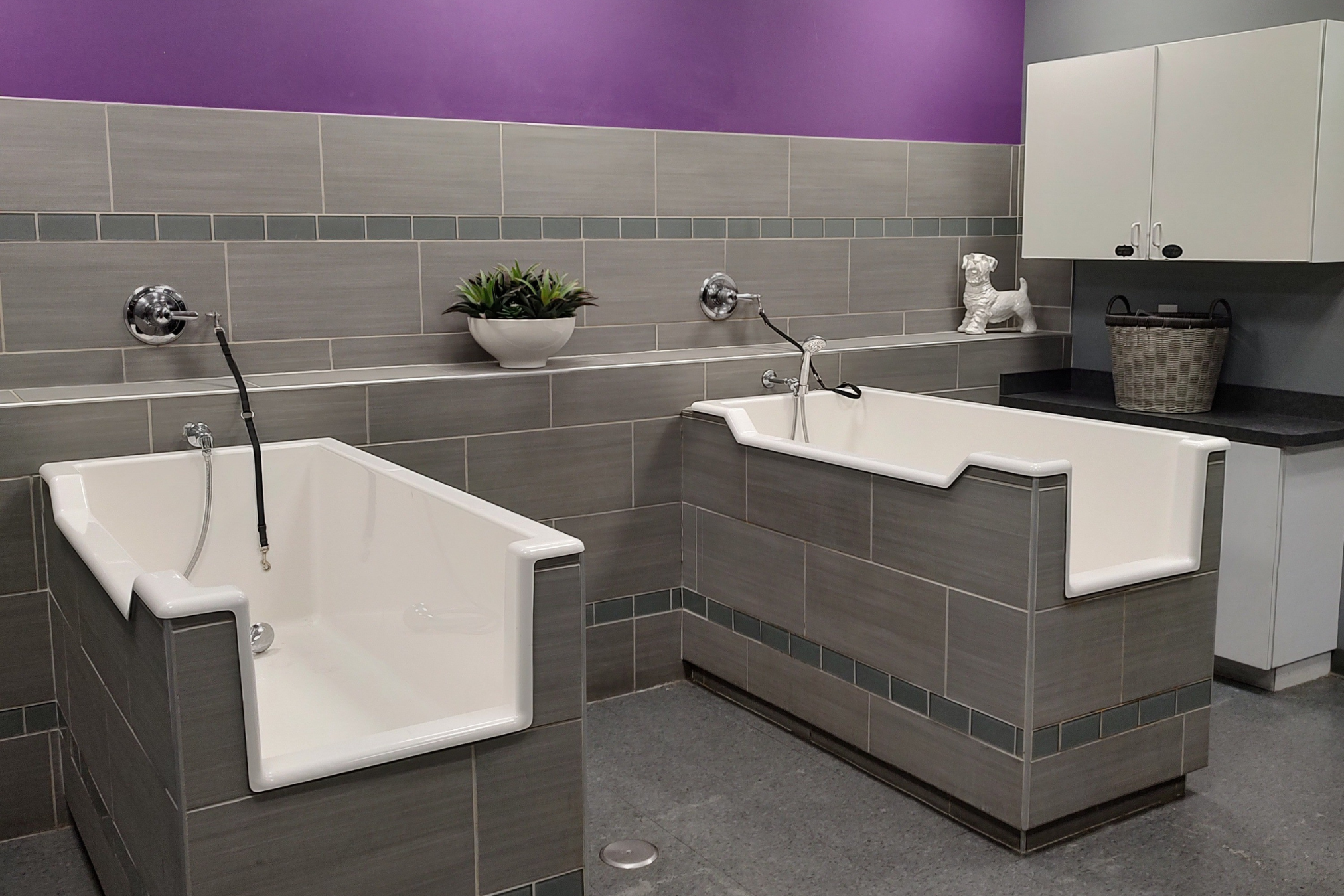Bloomfield Spa