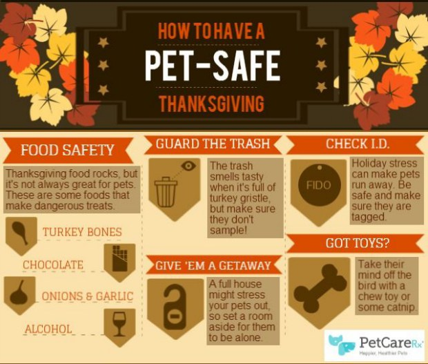 Avoid Holiday Pet Emergencies with Pet Boarding Birmingham