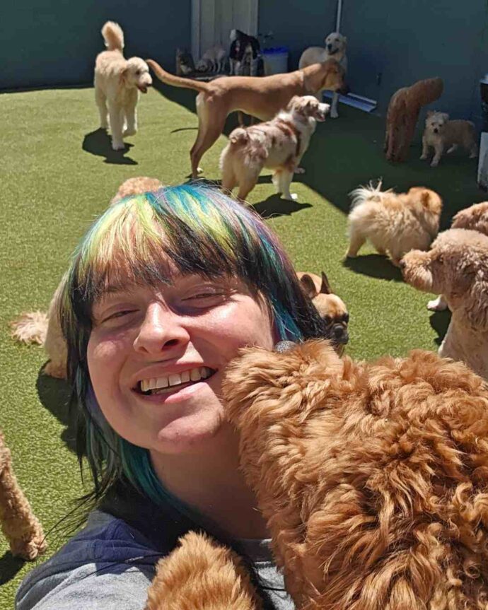 Supervised dog daycare and dog boarding play time in Birmingham Michigan