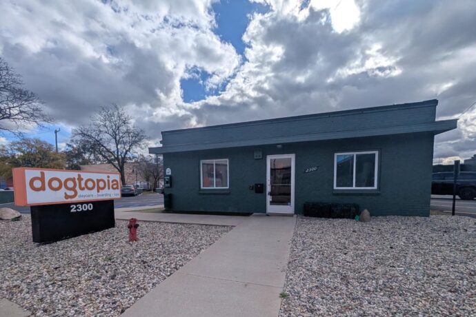 Dogtopia dog daycare in Birmingham MI
