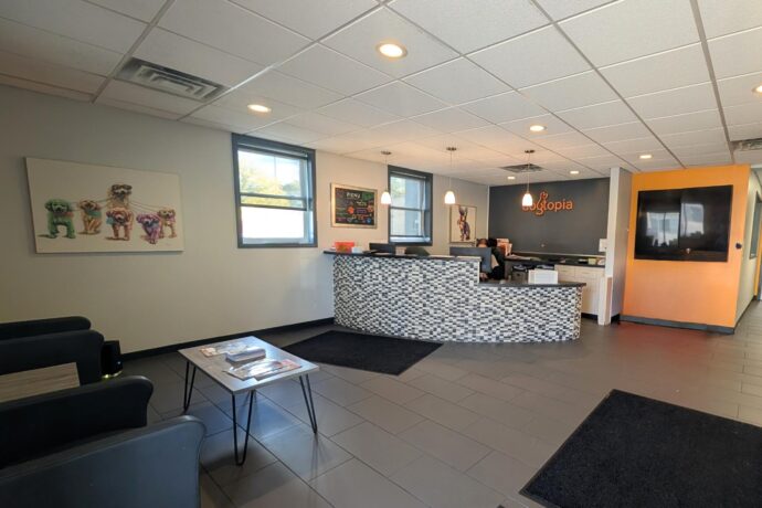 Dog day care and boarding lobby