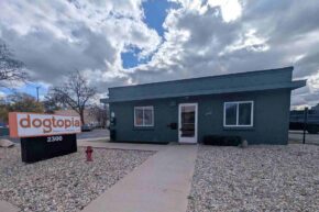 Doggy day care and boarding facility in Birmingham MI