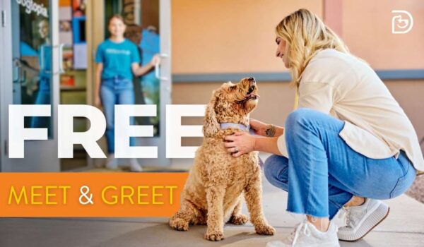 Dog day care and boarding free meet & Greet evaluation