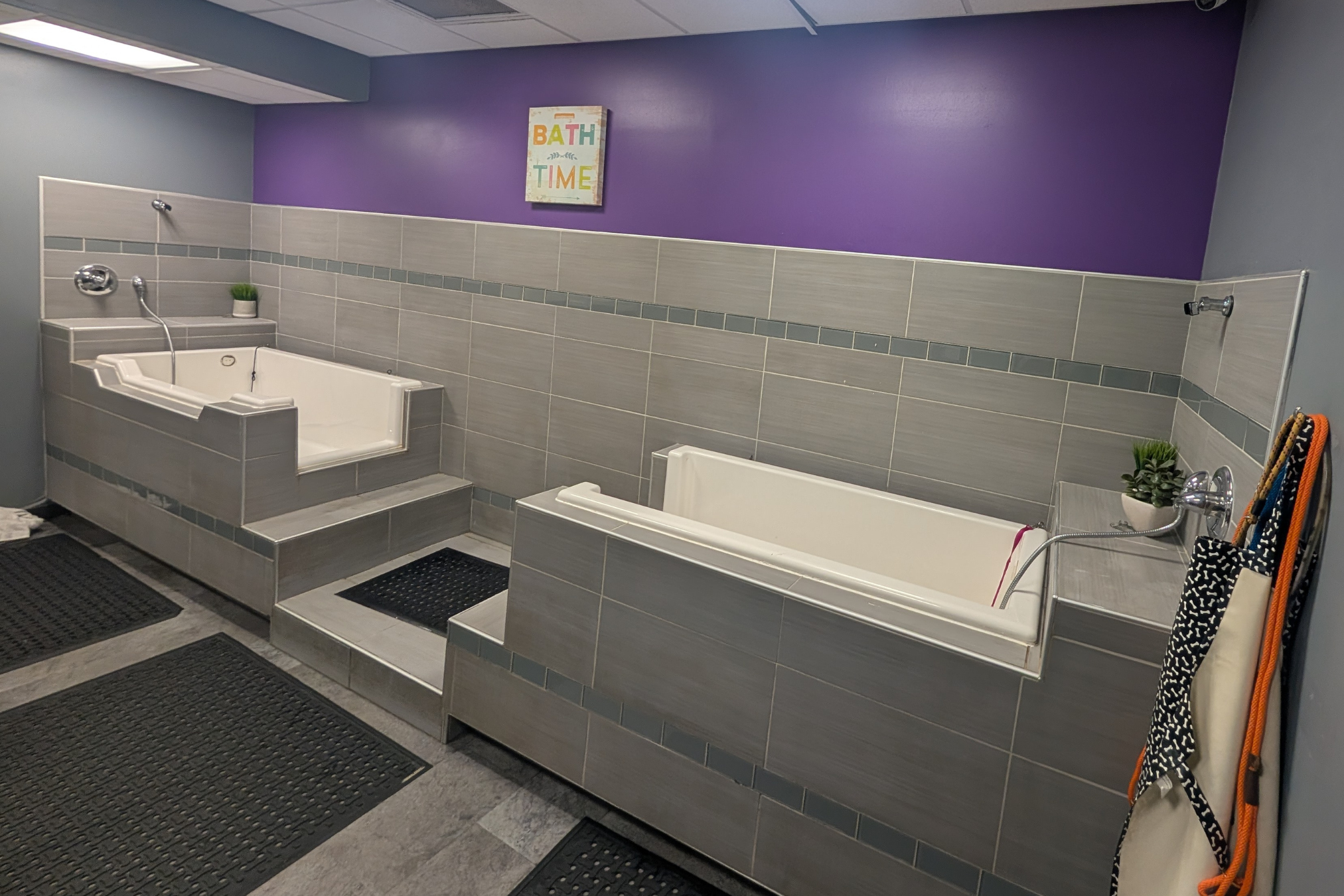Birmingham Spa