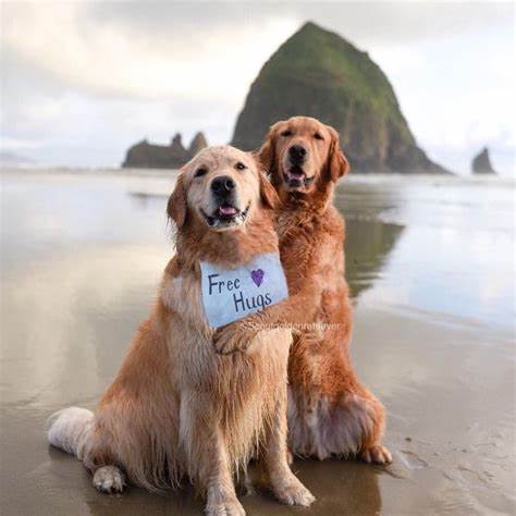 National Hug & High-five Day - Highland Village