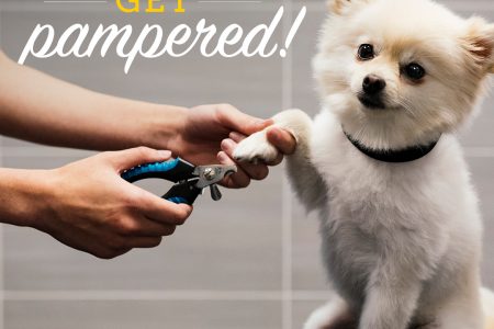 $6 off nail trims