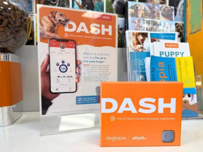 DASH activity monitoring