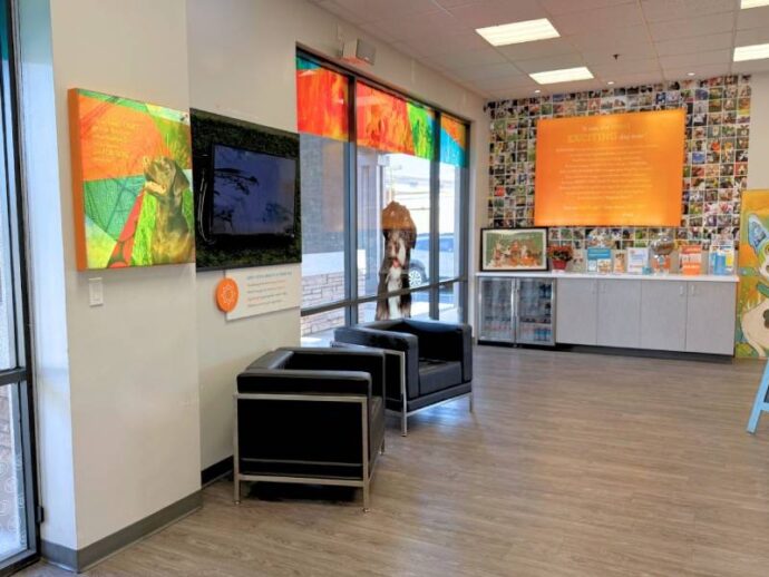 Dogtopia of Scottsdale-Raintree lobby