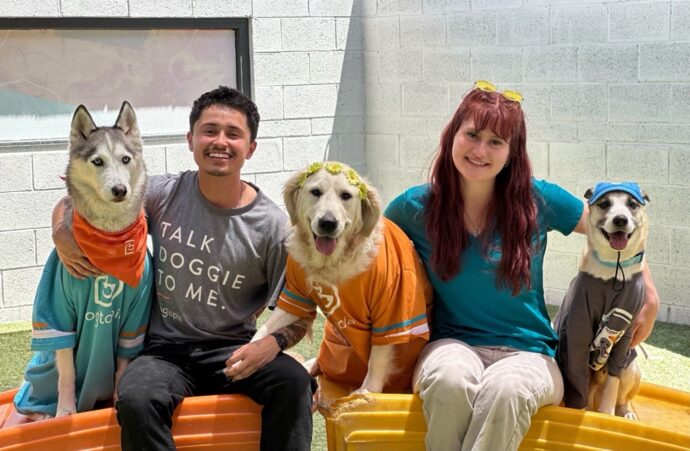 A man and a woman posing with three dogs