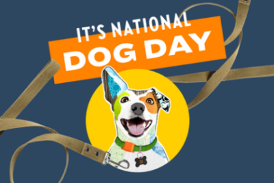 national dog day!