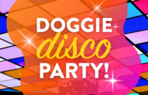 Doggie Disco Party