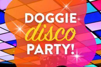 Doggie Disco Party