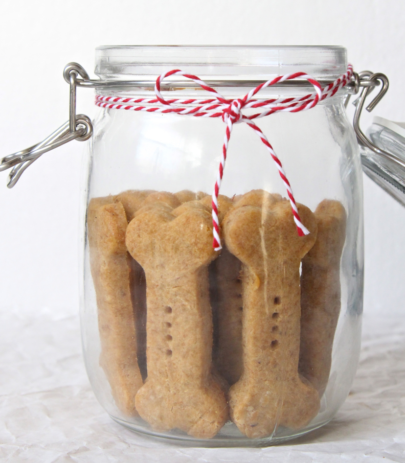 International Dog Biscuit Appreciation Day Gainesville