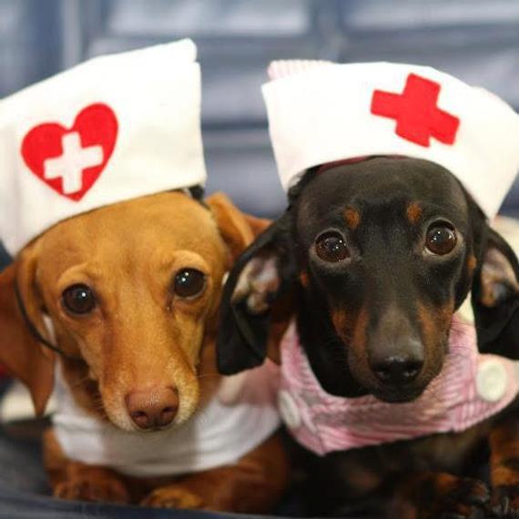 National Nurses Week! Gainesville