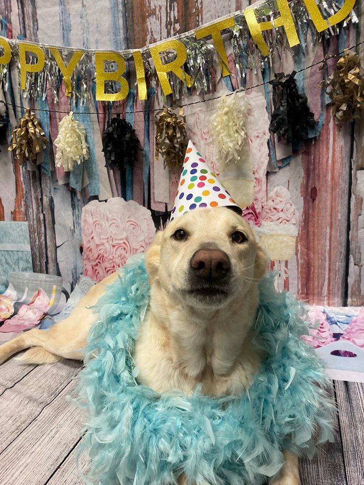 July Birthday/Gotcha Day Party! Gainesville