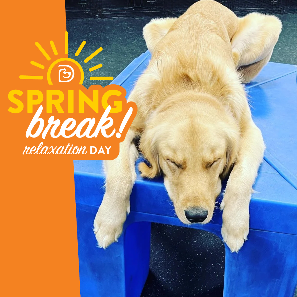 Relaxation Day! - Gainesville