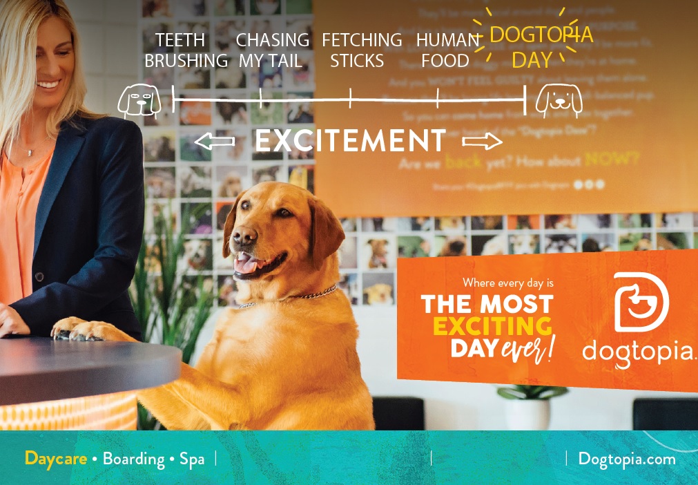 Dog Behavior Problems and Solutions DogTopia Galleria