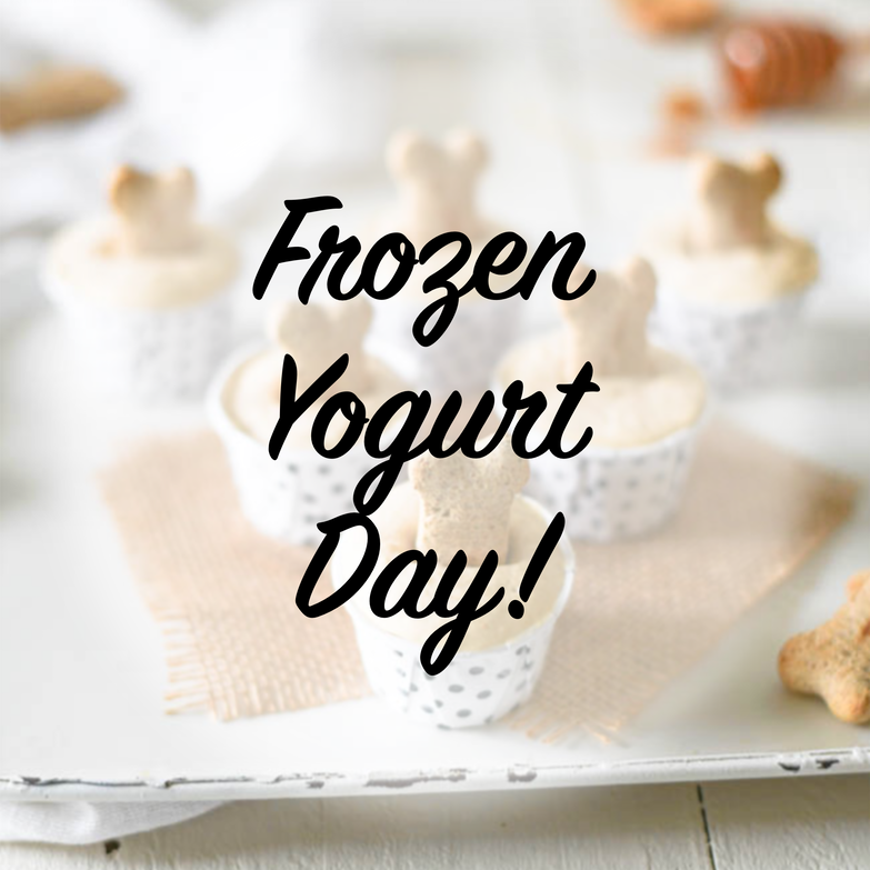 Frozen Yogurt Day! HoustonGalleria