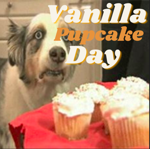 Vanilla Cupcake Day HoustonGalleria