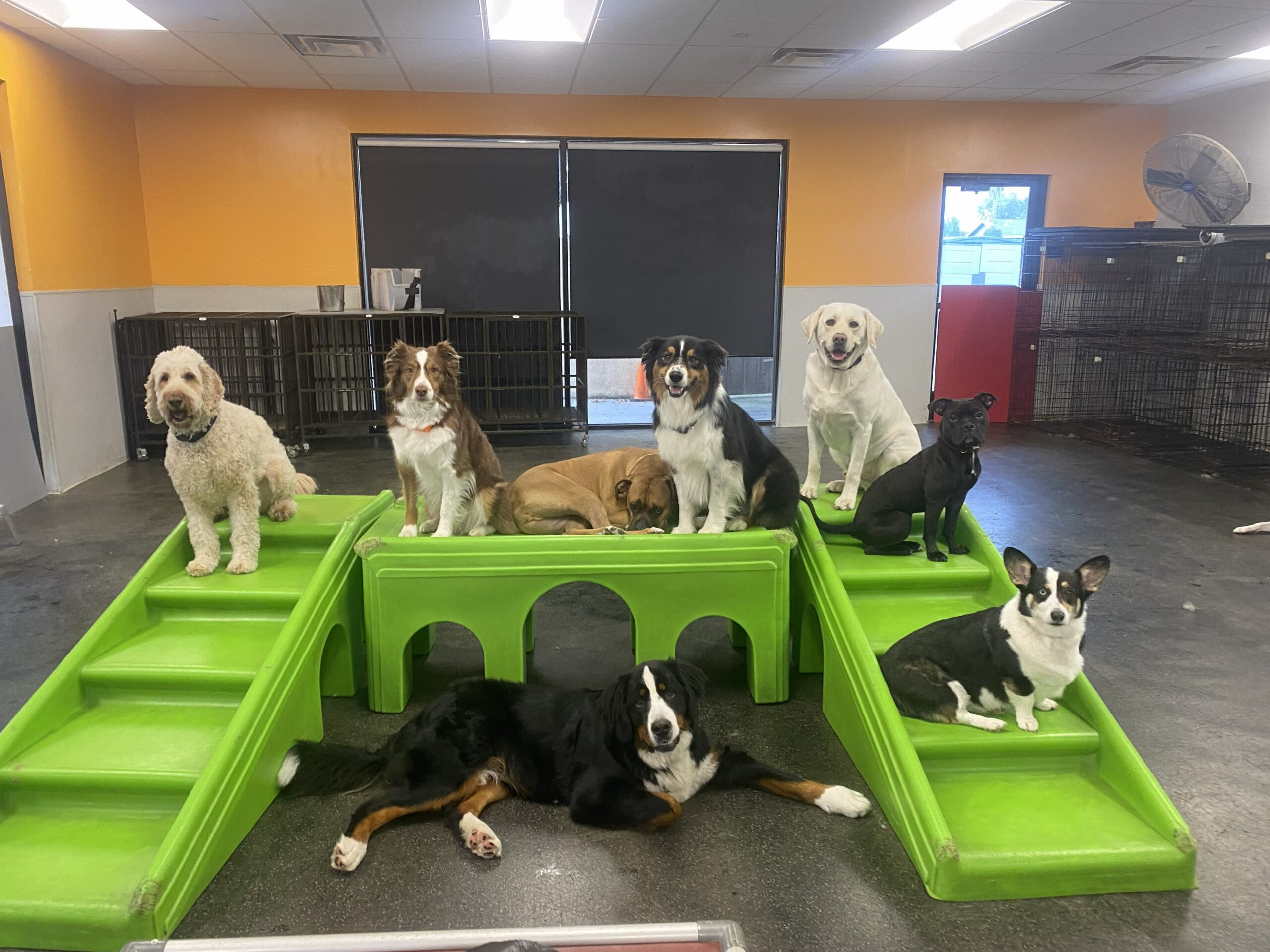 San Jose Playroom