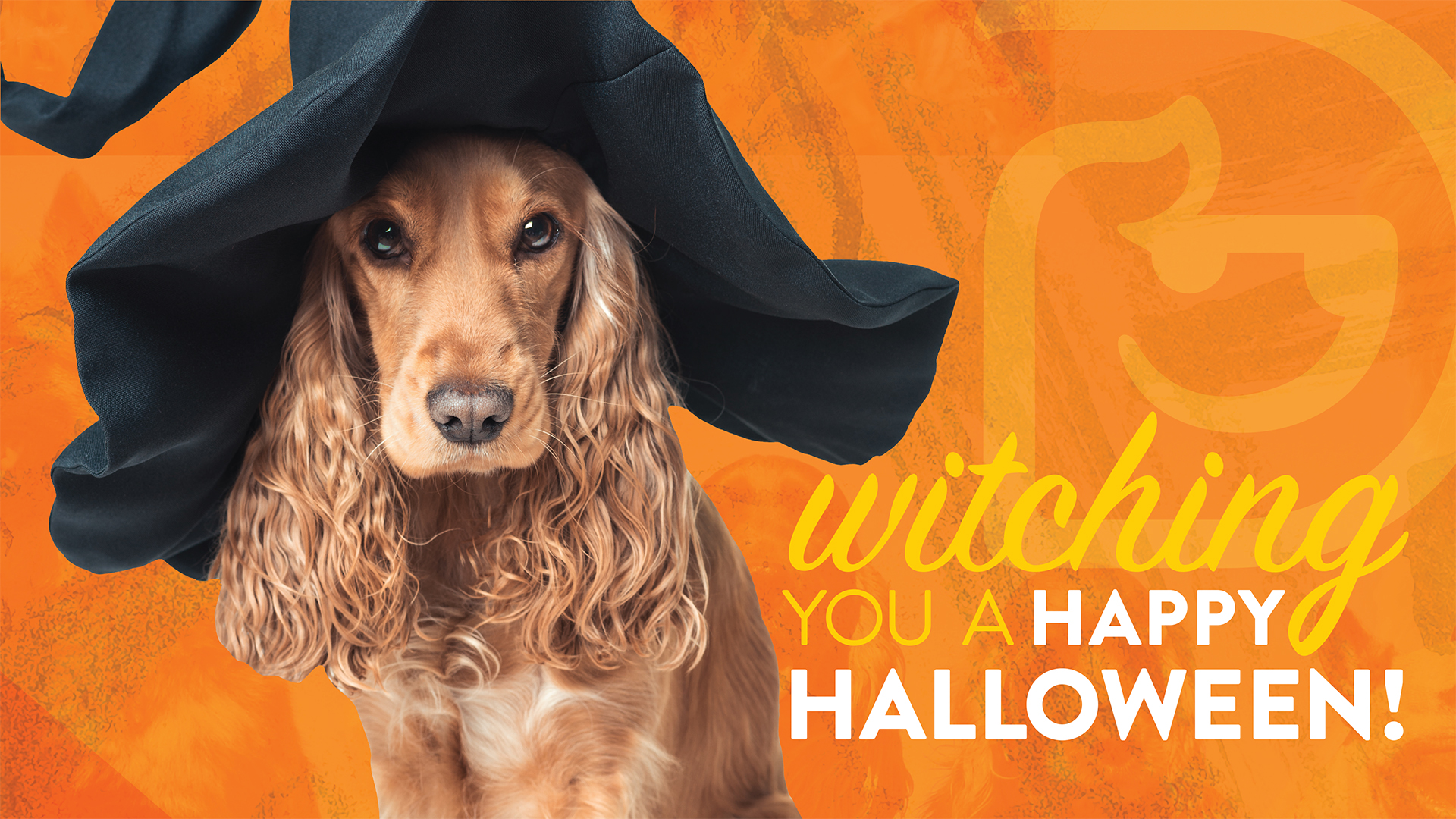 HowlOWeen Party and Costume Contest Overland Park