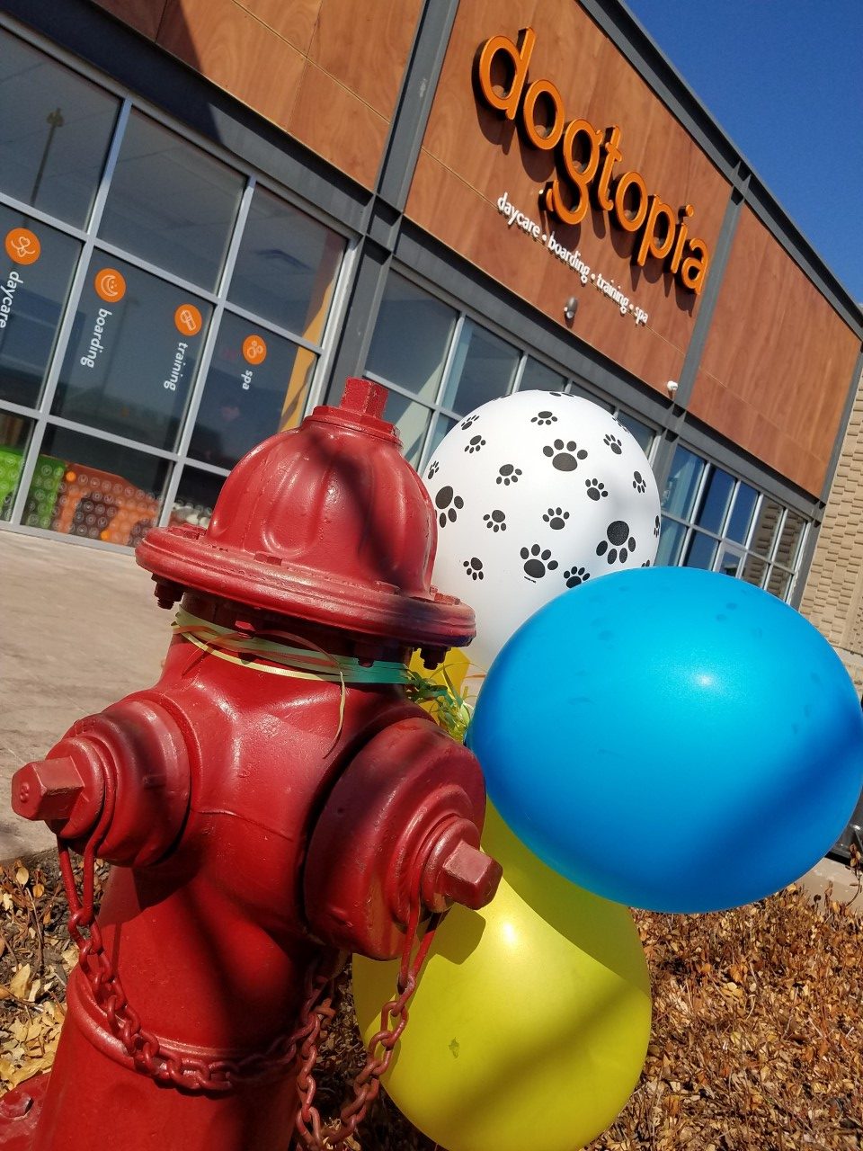 2nd Anniversary Party! Overland Park