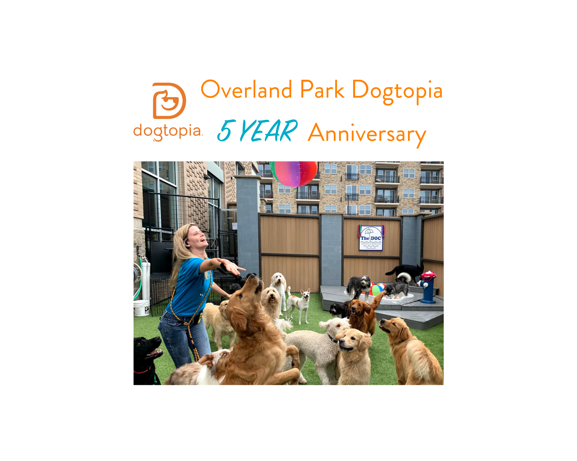 Dogtopia Of Clarksville 68 - p6b0d2o