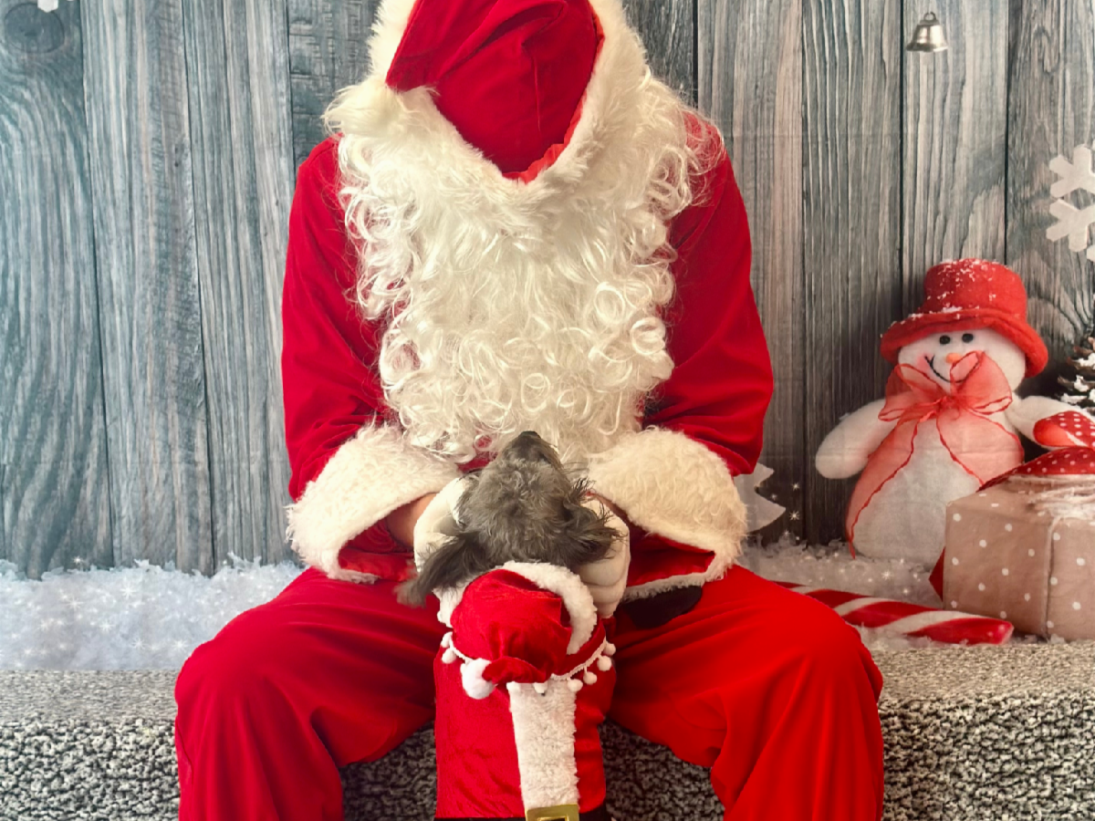 Santa Photos Overland Park santa-photos-overland-park